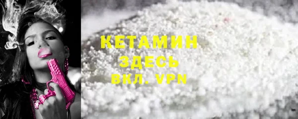 трава Няндома
