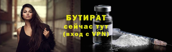 трава Няндома