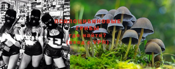 mdpv Алзамай