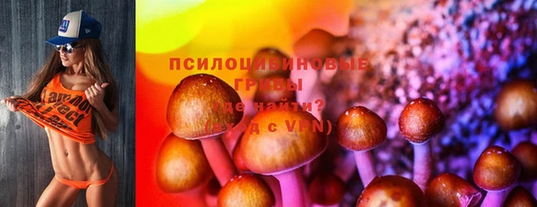 синтетический гашиш Алексеевка