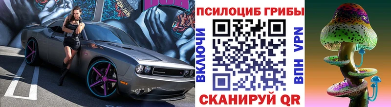 Псилоцибиновые грибы Psilocybine cubensis  цена наркотик  Сунжа 